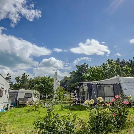 Camping Saint George Topola