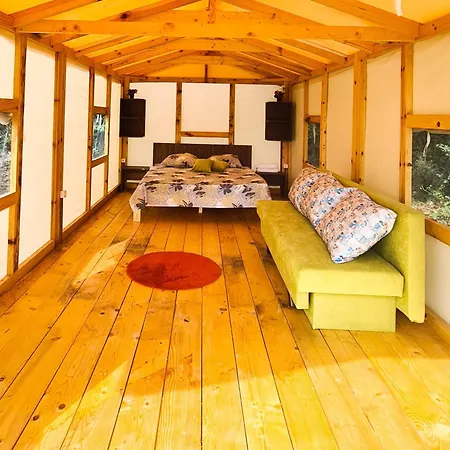 Saint George * Topola