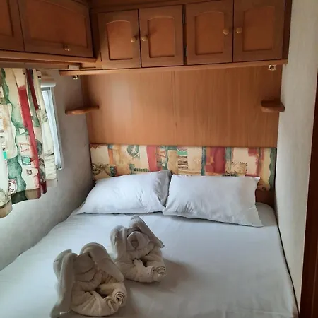 Saint George * Topola