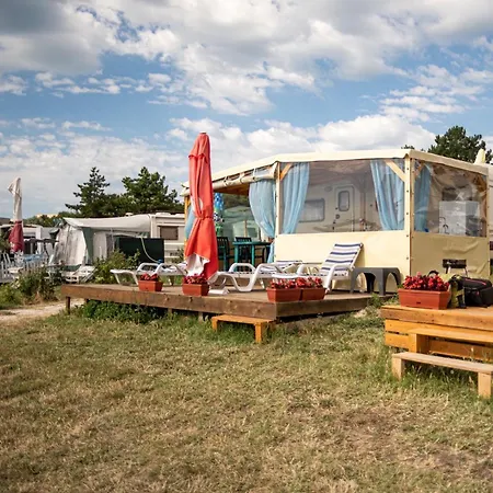 Saint George Kemping Topola