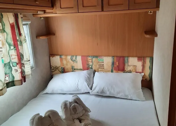 Saint George * Топола